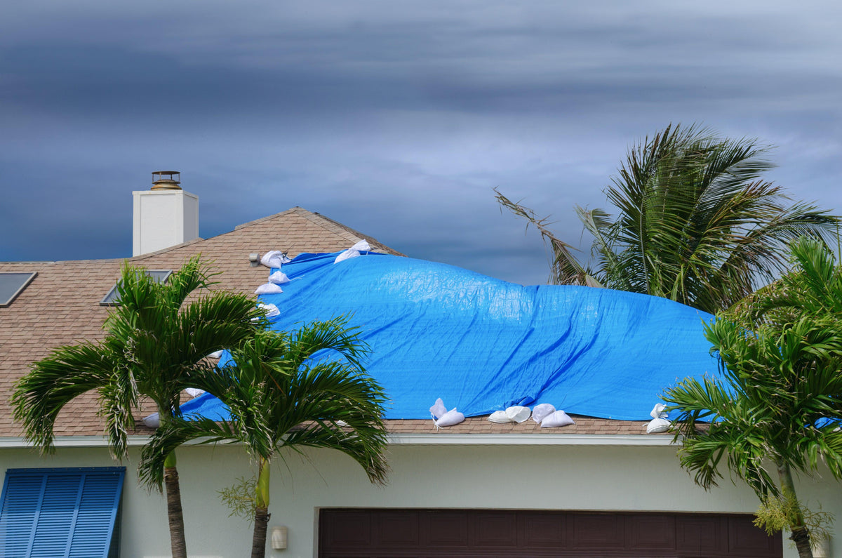 FEMA Self Help Blue Emergency Tarps DPAlex